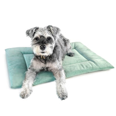 PAWD® Pad | Pet Crate liner bed - Magnadyne