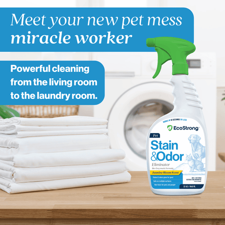 Pet Stain and Odor Eliminator - Magnadyne