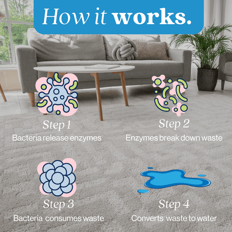Pet Stain and Odor Eliminator - Magnadyne