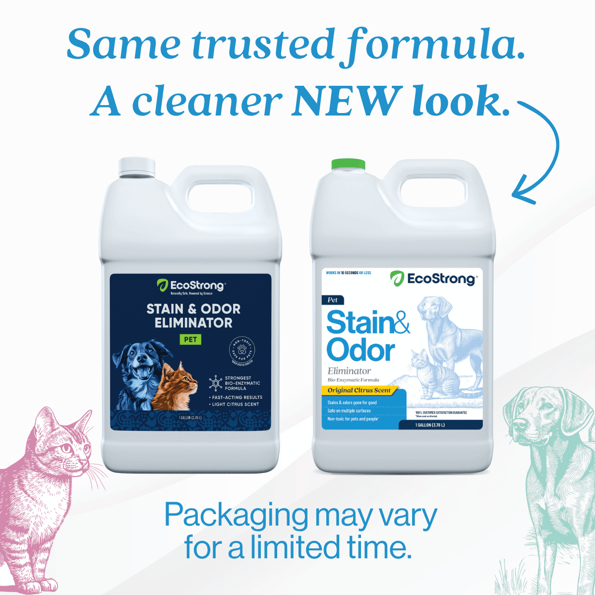 Pet Stain and Odor Eliminator - Magnadyne