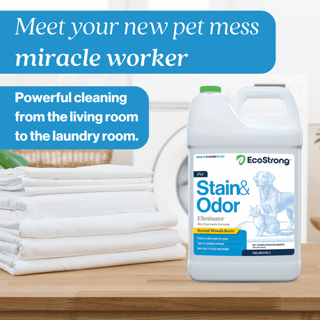 Pet Stain and Odor Eliminator - Magnadyne