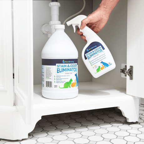 Pet Stain and Odor Eliminator - Magnadyne