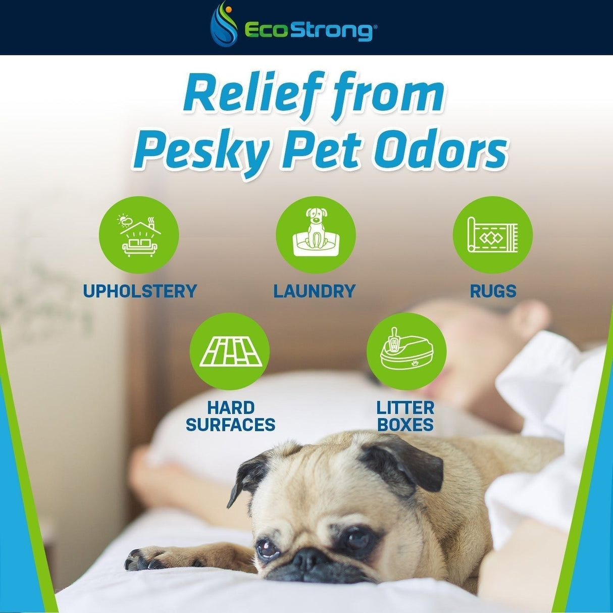 Pet Stain and Odor Eliminator - Magnadyne