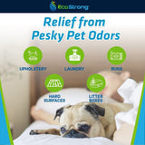 Pet Stain and Odor Eliminator - Magnadyne
