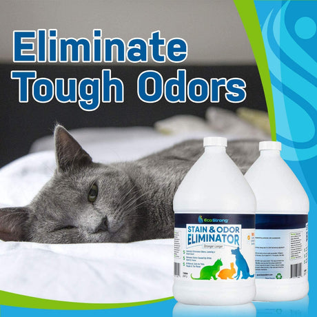 Pet Stain and Odor Eliminator - Magnadyne