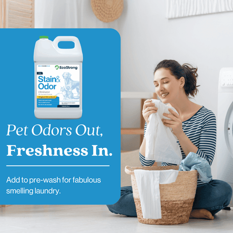 Pet Stain and Odor Eliminator - Magnadyne