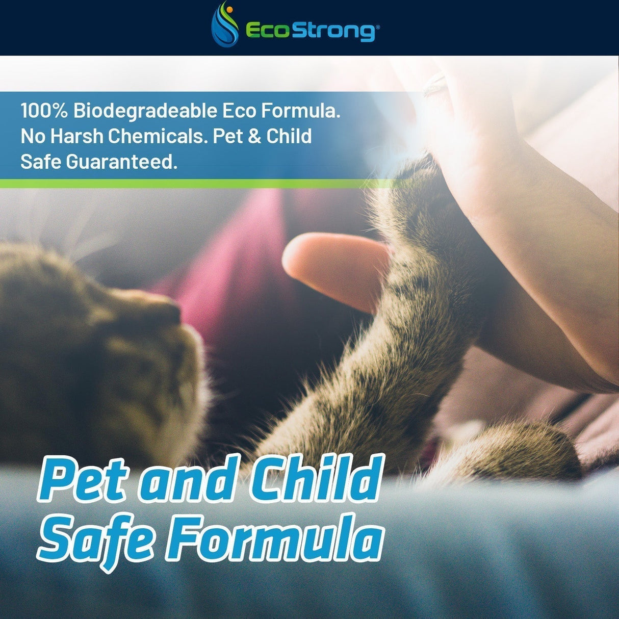 Pet Stain and Odor Eliminator - Magnadyne