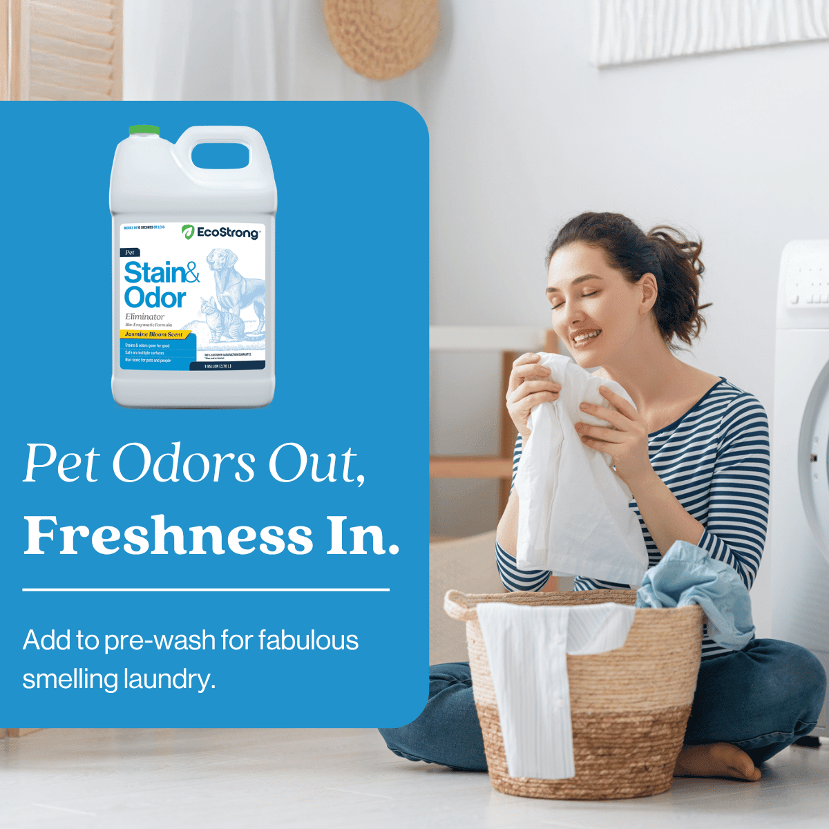 Pet Stain and Odor Eliminator - Magnadyne