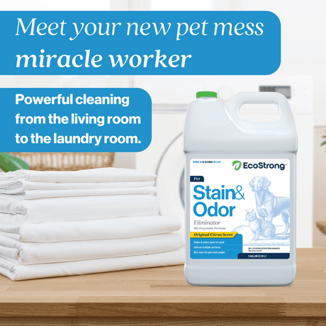 Pet Stain and Odor Eliminator - Magnadyne