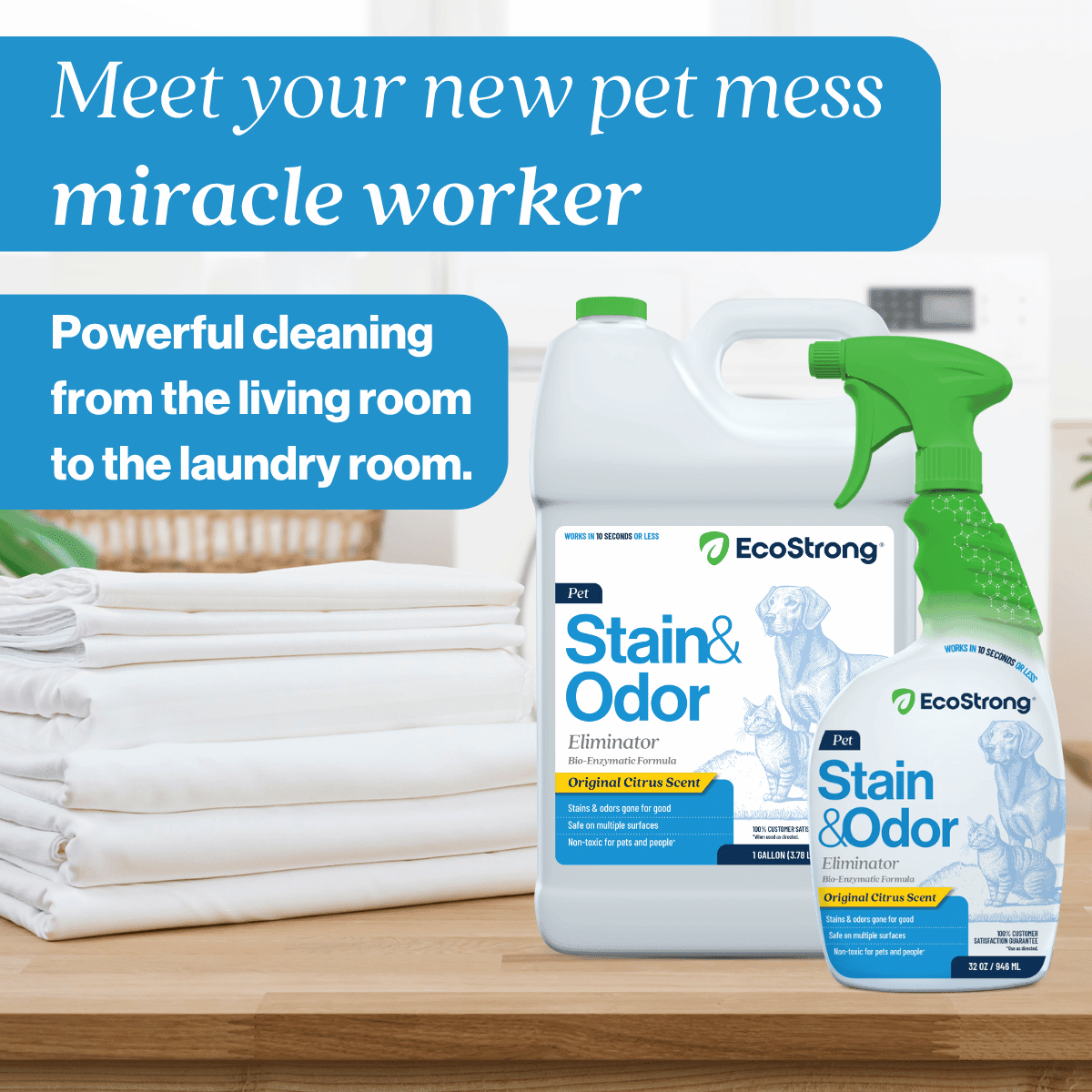 Pet Stain and Odor Eliminator - Magnadyne