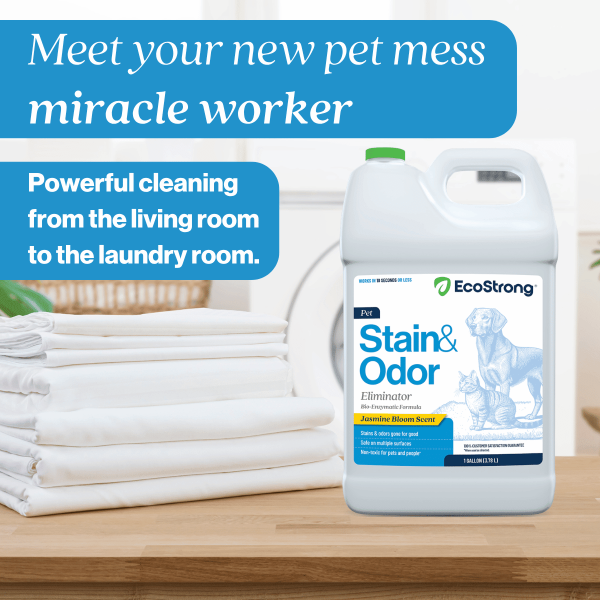 Pet Stain and Odor Eliminator - Magnadyne