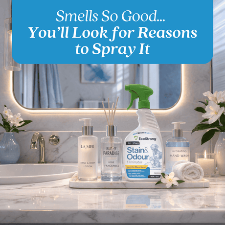 Pet Stain and Odor Eliminator - Magnadyne