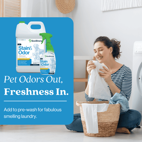 Pet Stain and Odor Eliminator - Magnadyne