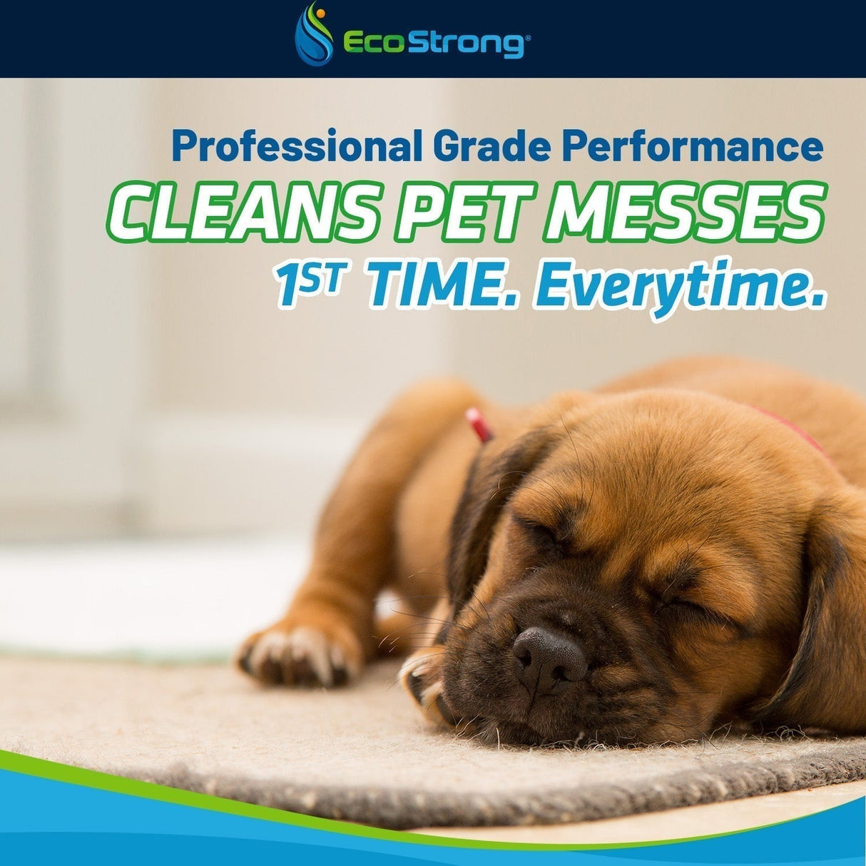 Pet Stain and Odor Eliminator - Magnadyne