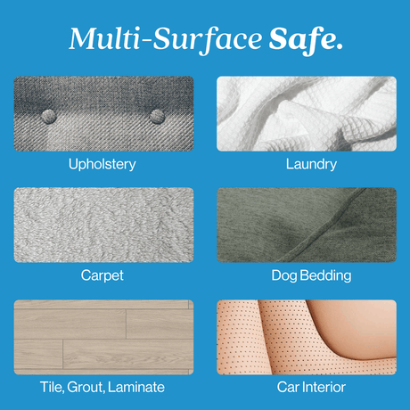 Pet Stain and Odor Eliminator - Magnadyne