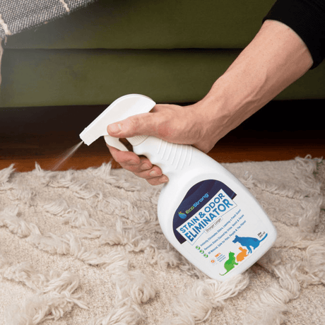 Pet Stain and Odor Eliminator - Magnadyne