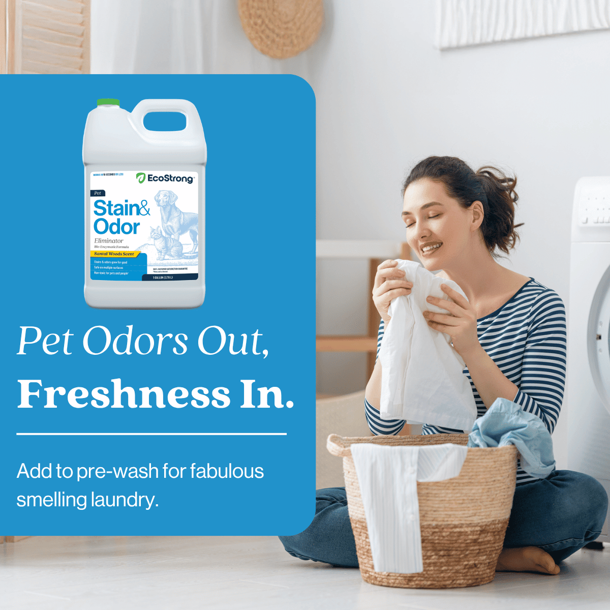 Pet Stain and Odor Eliminator - Magnadyne