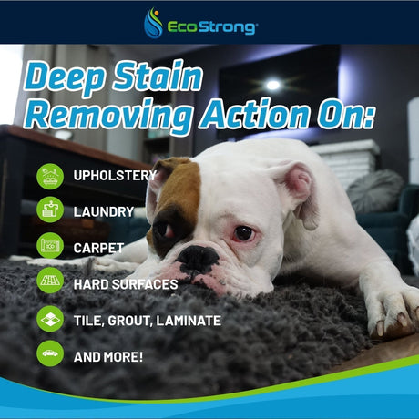 Pet Stain and Odor Eliminator - Magnadyne