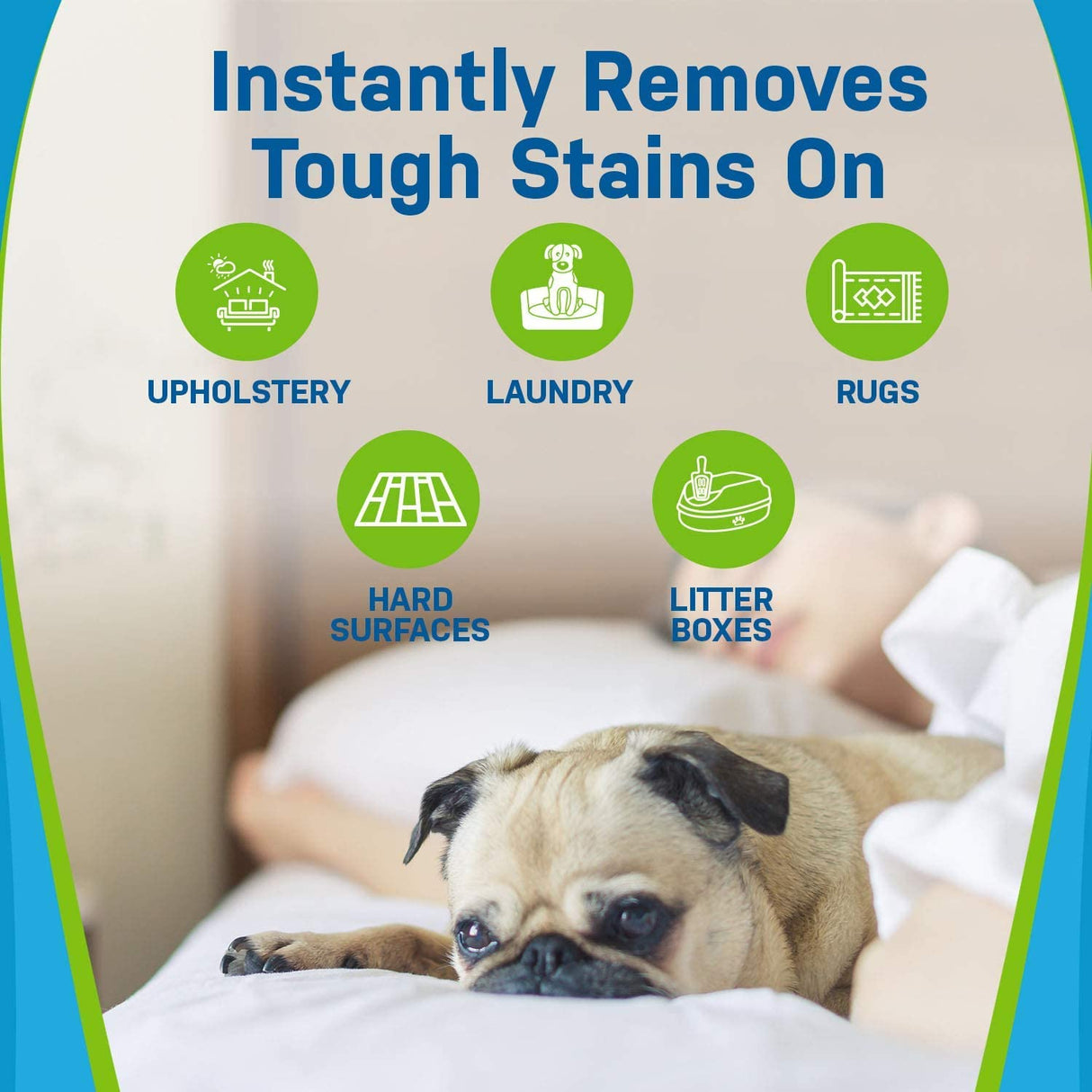 Pet Stain and Odor Eliminator - Magnadyne