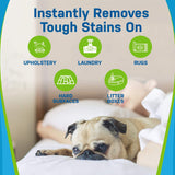 Pet Stain and Odor Eliminator - Magnadyne