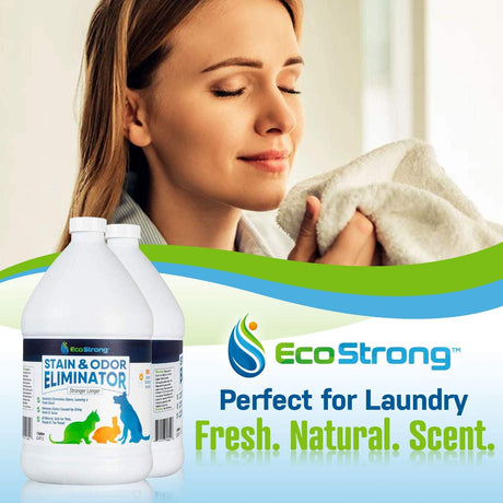 Pet Stain and Odor Eliminator - Magnadyne