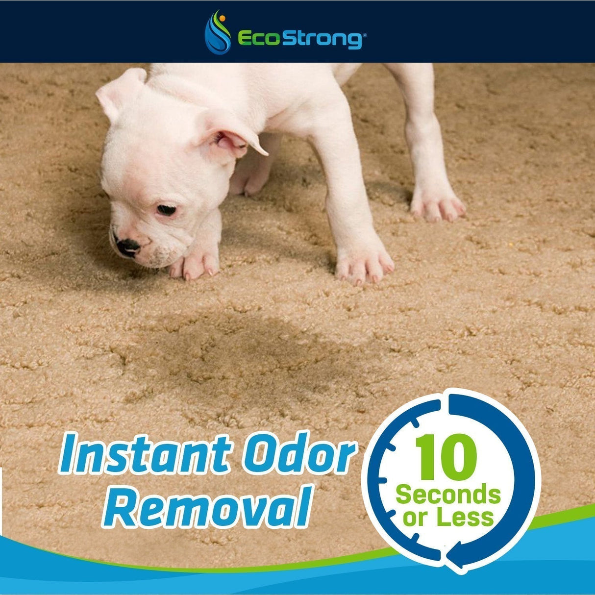 Pet Stain and Odor Eliminator - Magnadyne