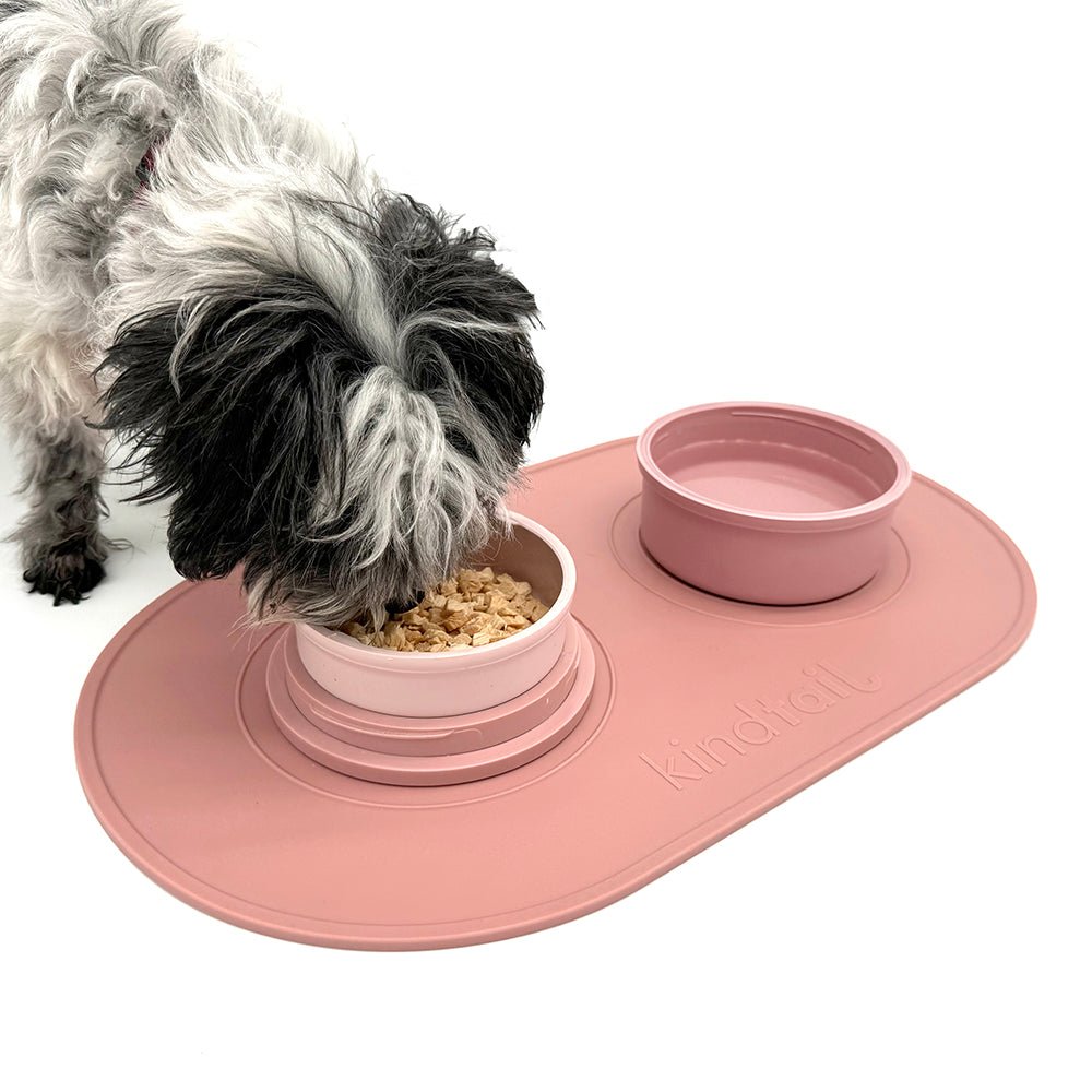 Portabowls | Portable travel & home dog bowl set - Magnadyne