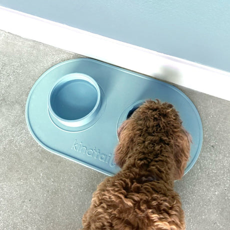 Portabowls | Portable travel & home dog bowl set - Magnadyne