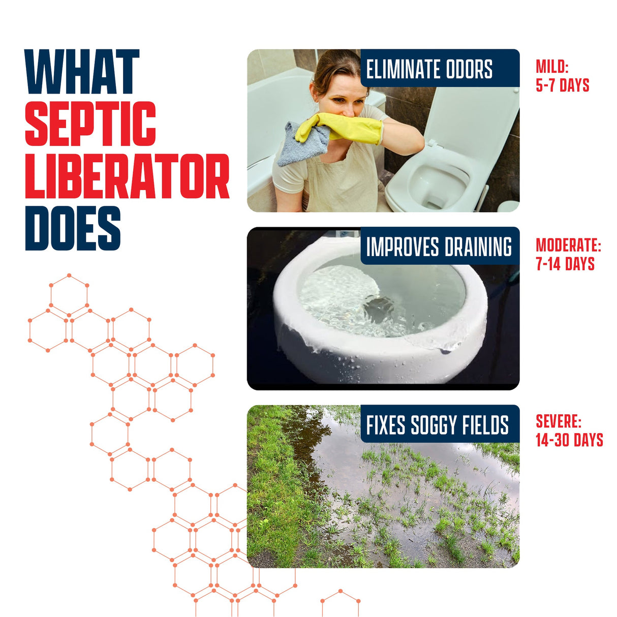 Septic Liberator - Magnadyne