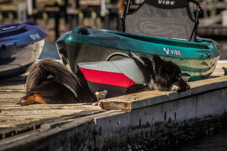 Shaka 100 - Magnadyne