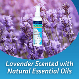 Toilet Spray - Magnadyne