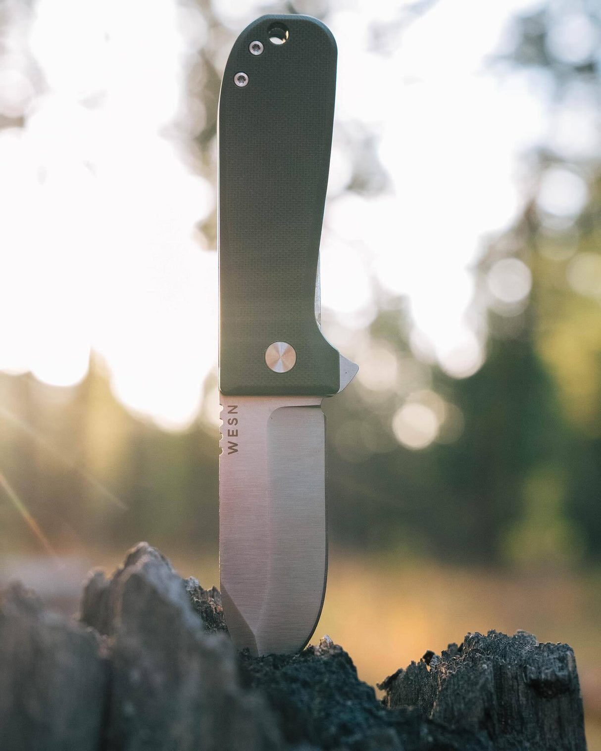 WESN: The Allman - Magnadyne